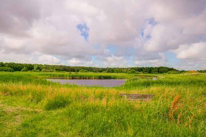 Foto 25 van Duinroosstraat 186