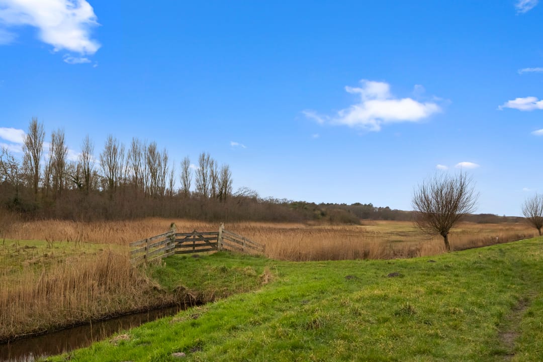 Foto 26 van Duinroosstraat 186