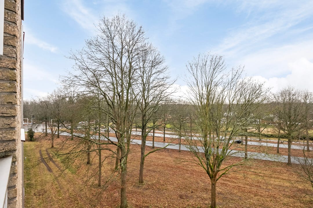 Foto 16 van Friezenlaan 178