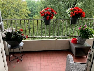 Foto 17 van Friezenlaan 178