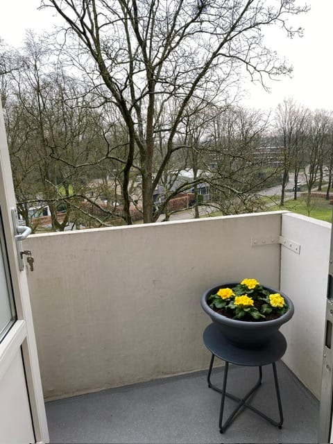 Foto 22 van Friezenlaan 178