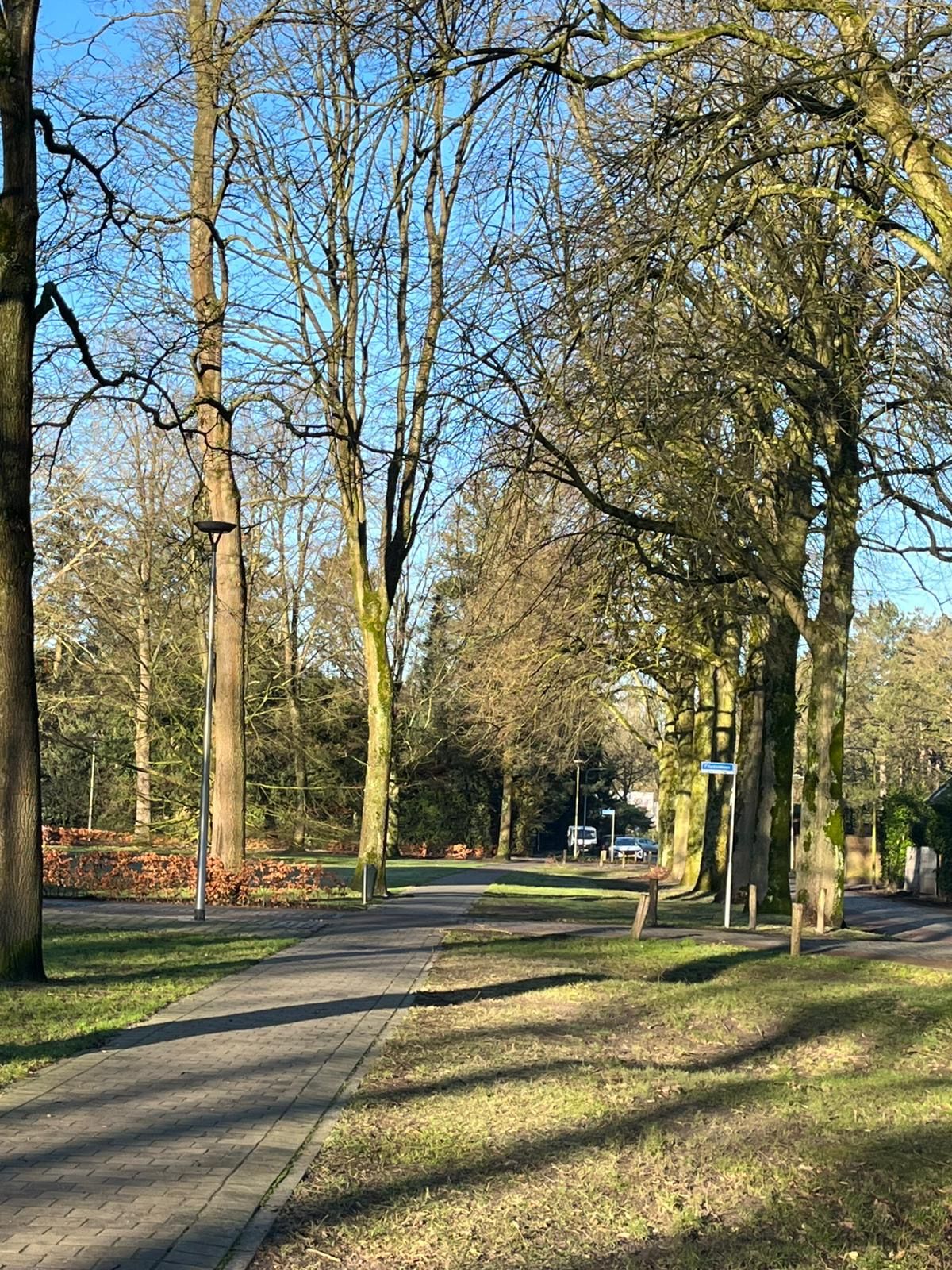 Foto 30 van Friezenlaan 178