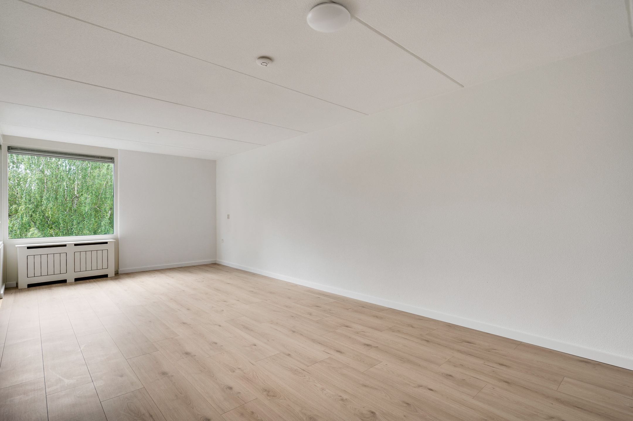 Foto 12 van de Beente 74-C