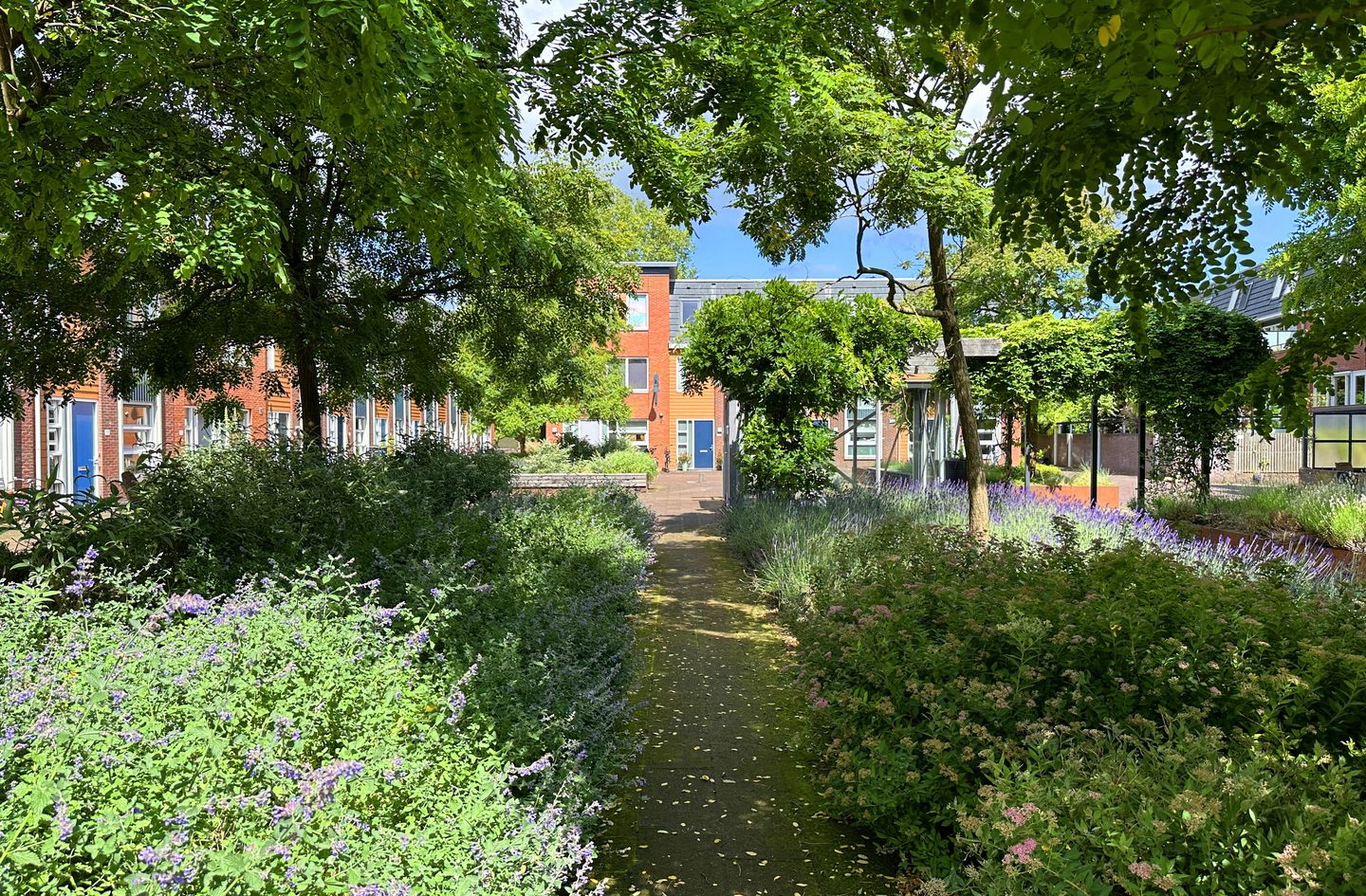 Foto 1 van Weltevreden 119