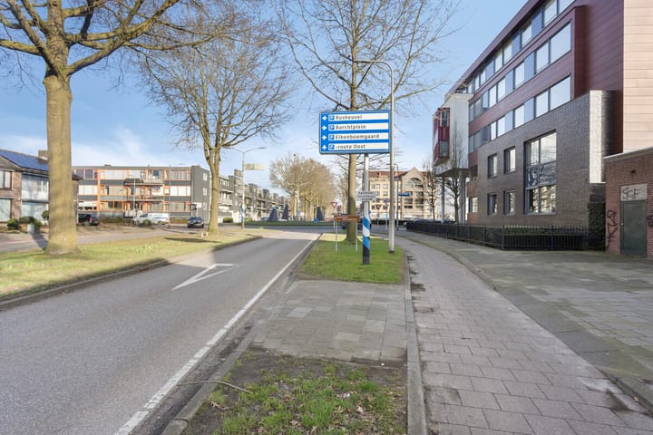 Photo 88 of Hertogensingel 32