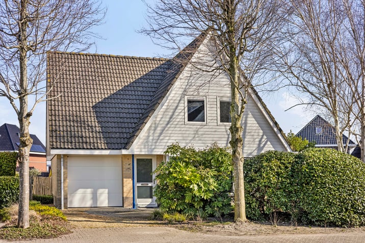 undefined main image