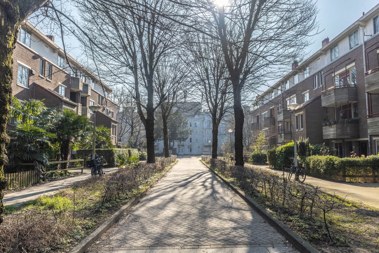 Foto 4 van Voorthuizenstraat 40