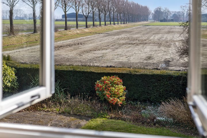 Foto 37 van Wrakkenpad 5