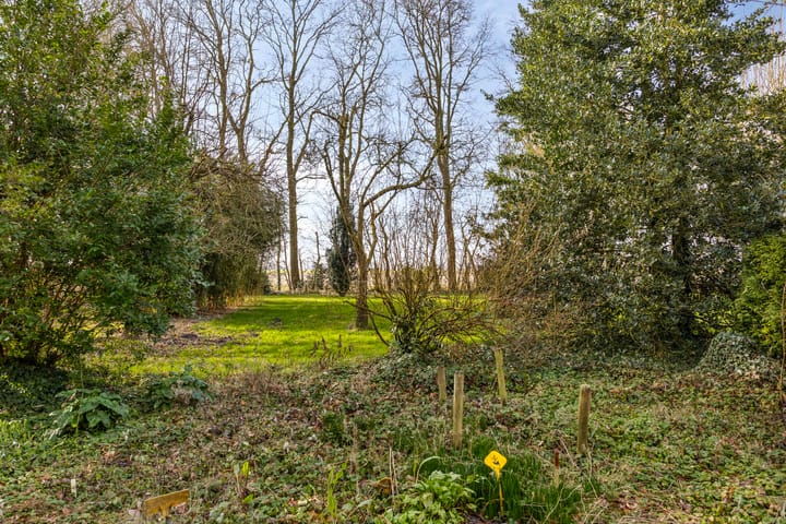 Foto 67 van Wrakkenpad 5