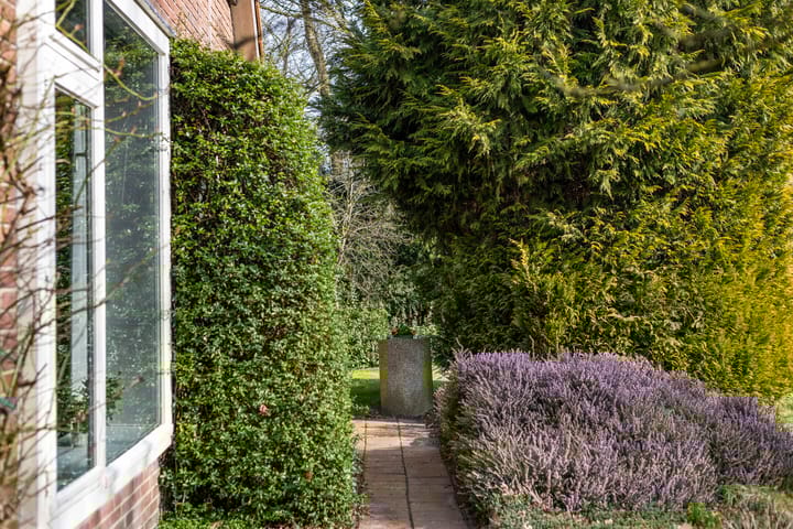 Foto 62 van Wrakkenpad 5