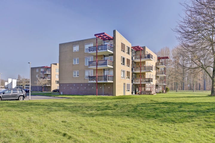 Foto 1 van Het Spectrum 26