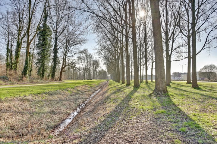 Foto 38 van Het Spectrum 26