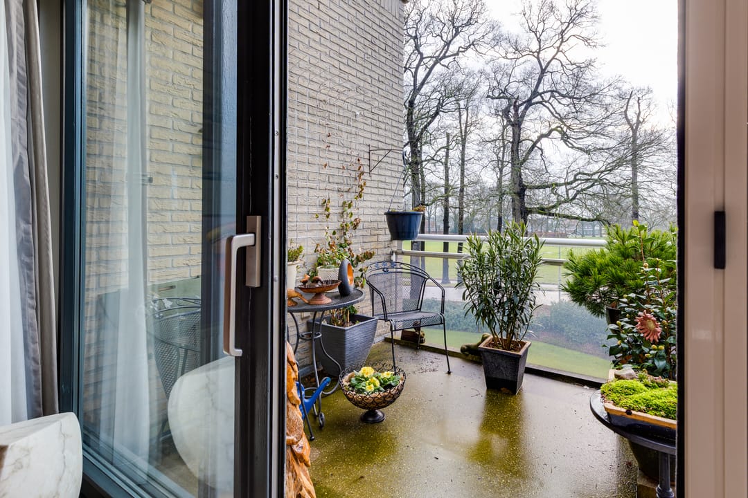 Photo 11 of Boomgaard 17