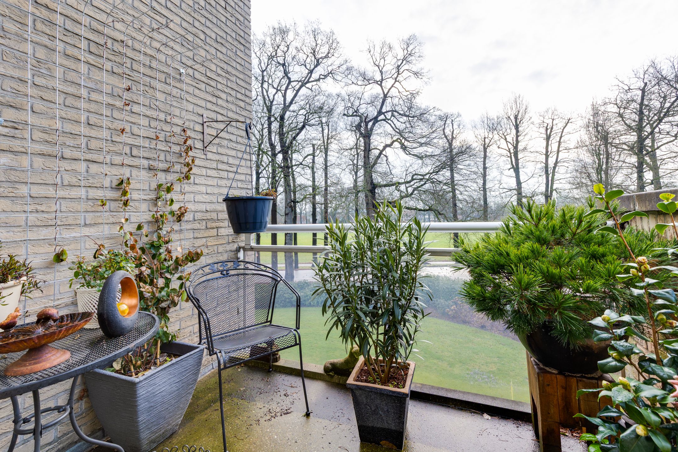 Photo 12 of Boomgaard 17