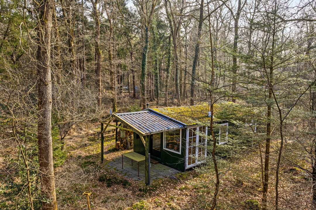 Foto 1 van Langeloërduinen 4 99