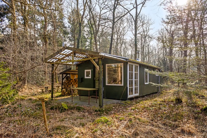 Foto 2 van Langeloërduinen 4 99