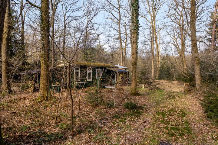 Foto 3 van Langeloërduinen 4 99