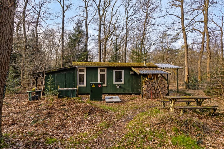 Foto 4 van Langeloërduinen 4 99