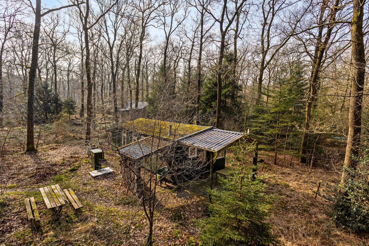 Foto 5 van Langeloërduinen 4 99