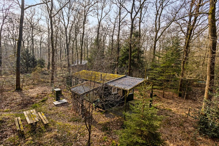 Foto 5 van Langeloërduinen 4 99