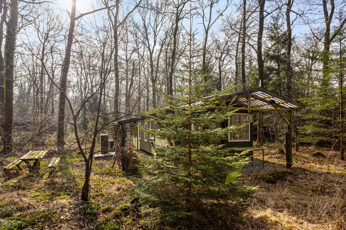 Foto 6 van Langeloërduinen 4 99