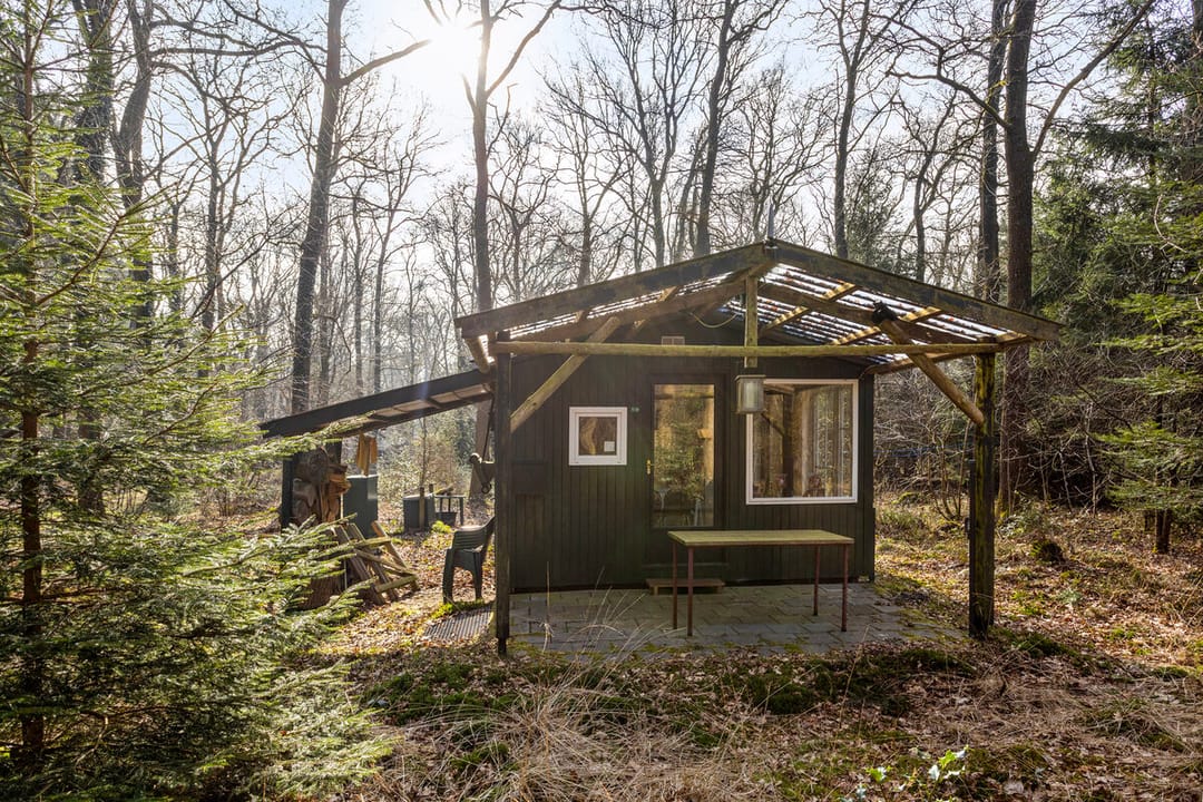 Foto 7 van Langeloërduinen 4 99