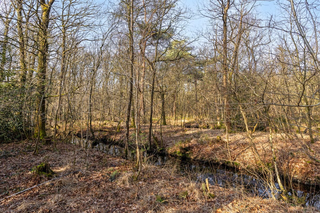 Foto 8 van Langeloërduinen 4 99