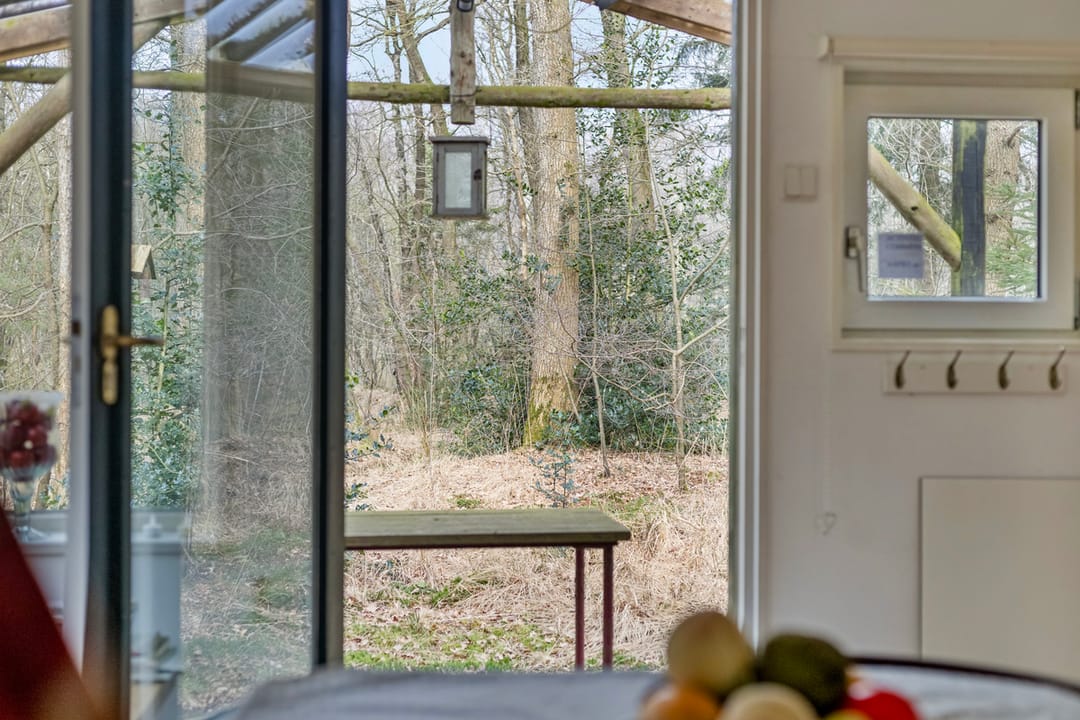 Foto 13 van Langeloërduinen 4 99