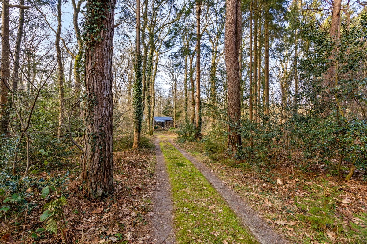 Foto 19 van Langeloërduinen 4 99