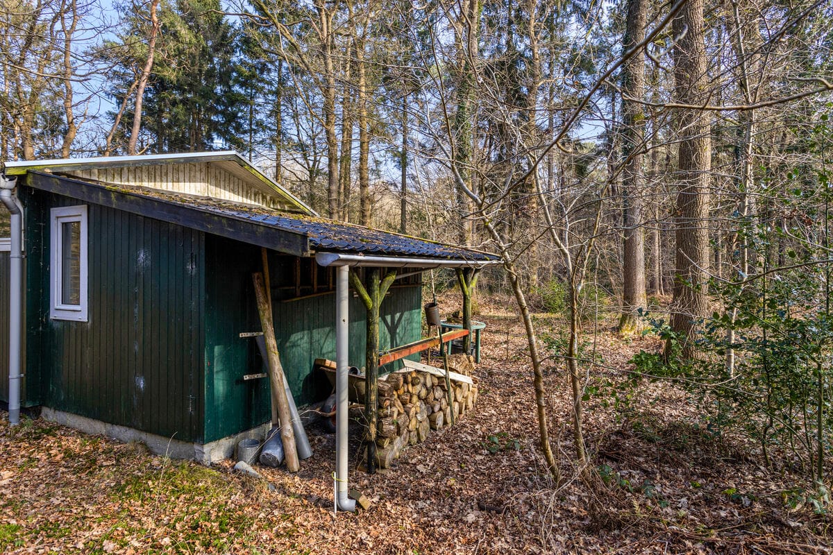 Foto 21 van Langeloërduinen 4 99