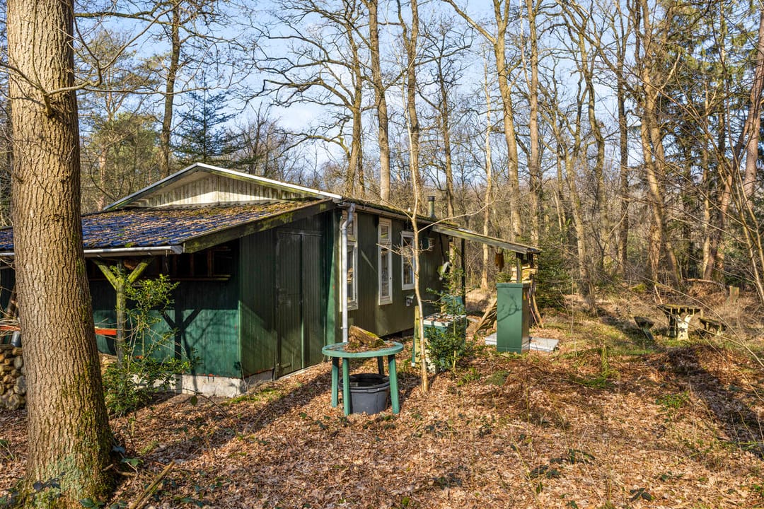 Foto 22 van Langeloërduinen 4 99