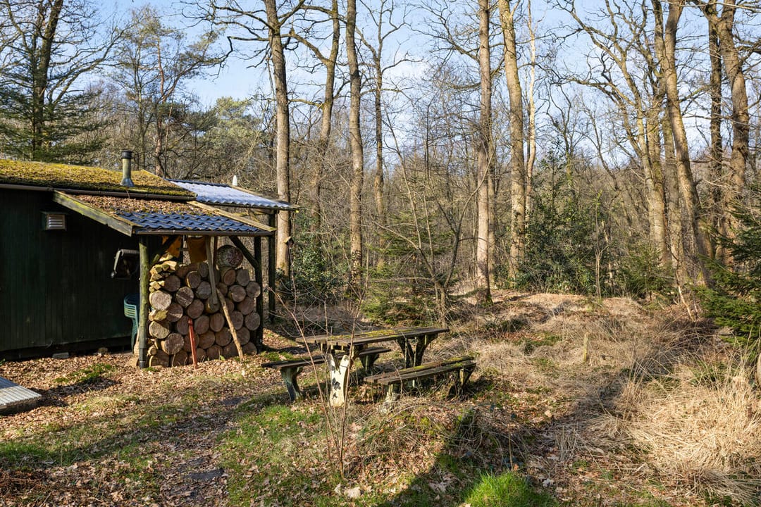 Foto 23 van Langeloërduinen 4 99