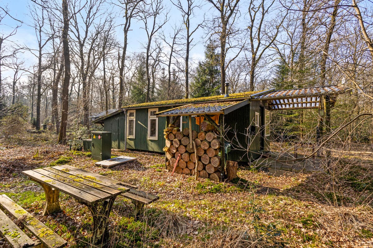 Foto 24 van Langeloërduinen 4 99