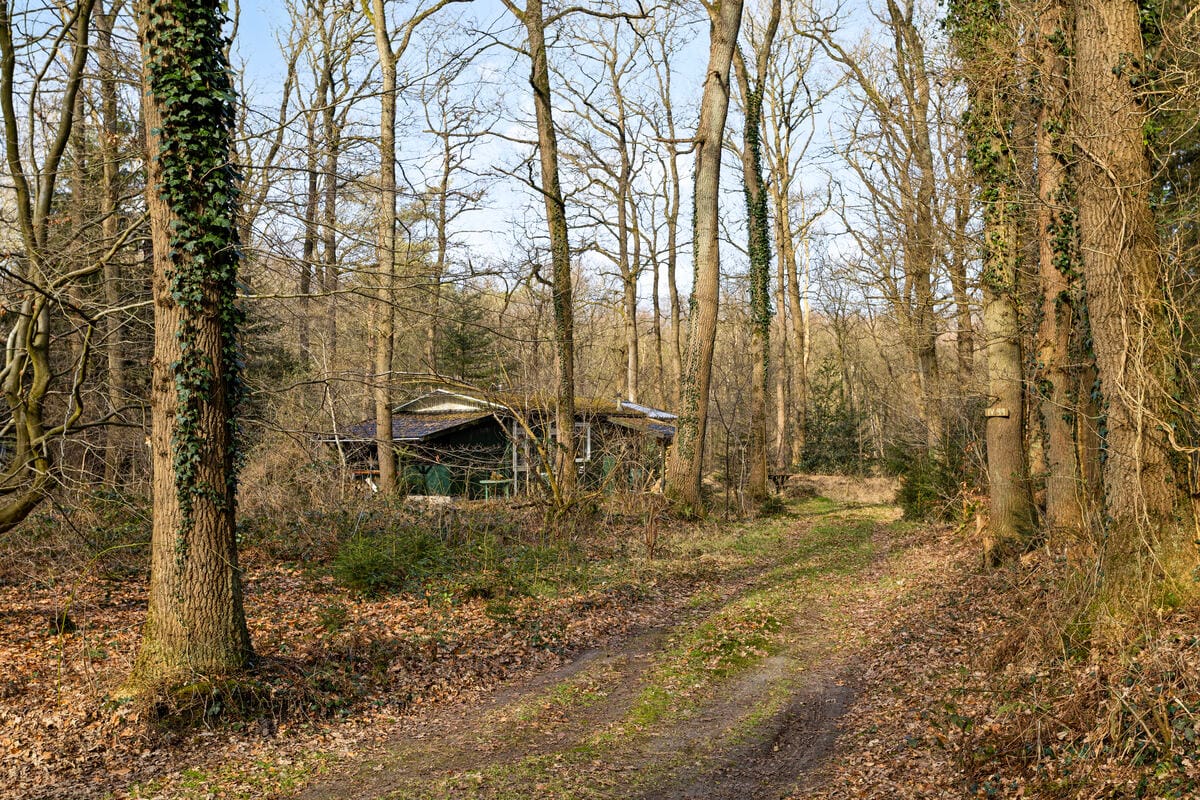 Foto 25 van Langeloërduinen 4 99