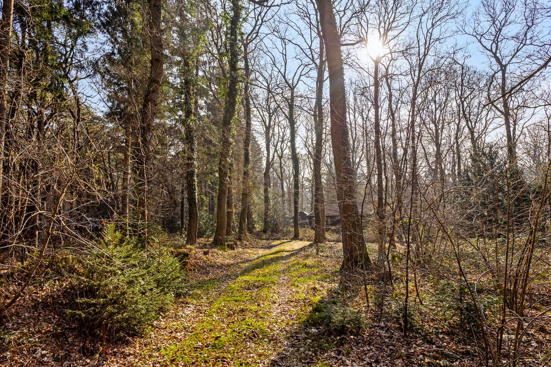 Foto 26 van Langeloërduinen 4 99