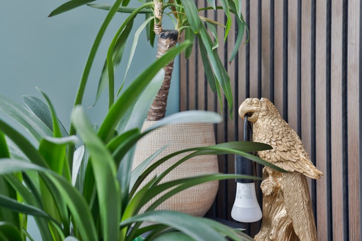 Foto 8 van St.Martinusweg 28