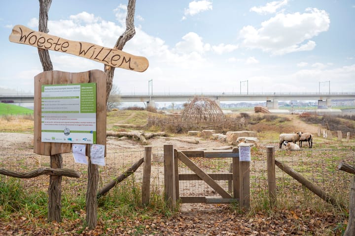 Foto 27 van Bessenstraat 13