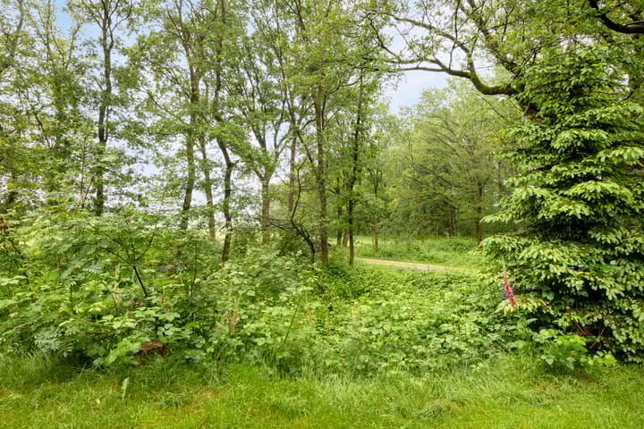 Foto 33 van Bosrand 8