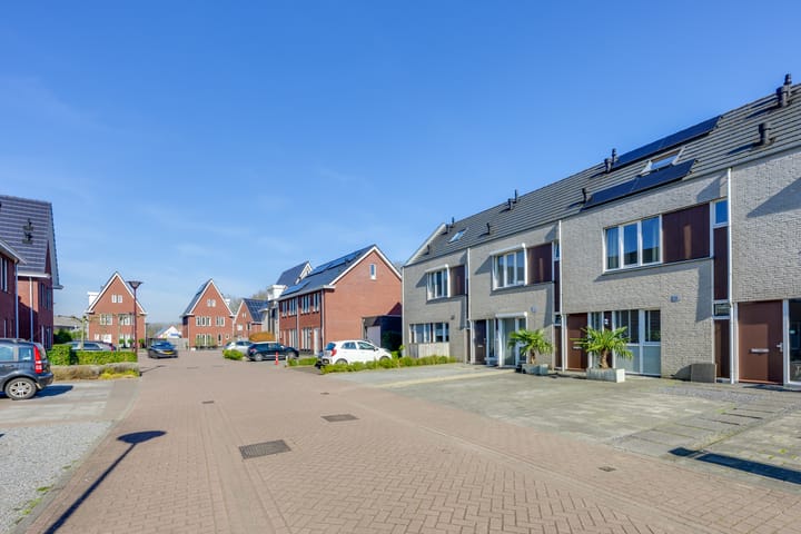 Foto 2 van Steenarend 20