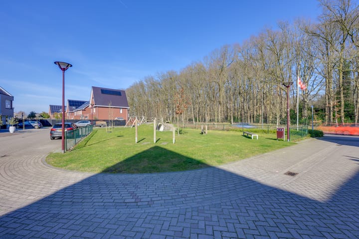 Foto 22 van Steenarend 20