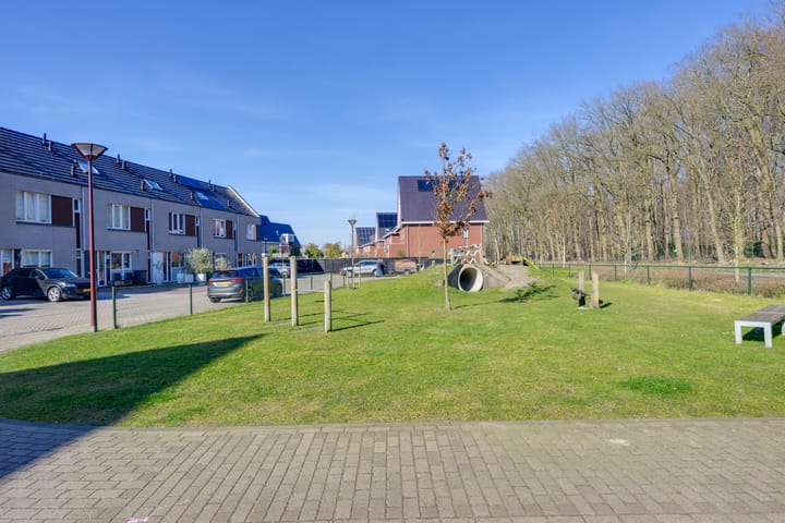 Foto 23 van Steenarend 20