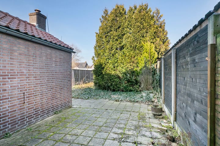 Foto 25 van Vijfmorgen 5