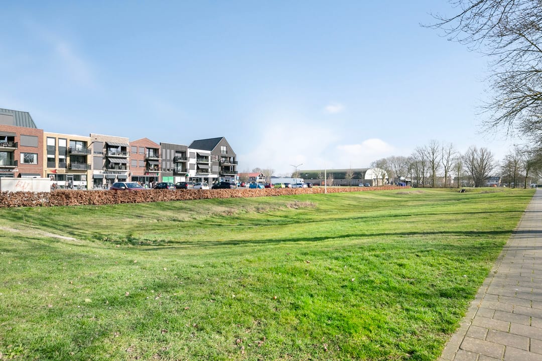 Foto 31 van Vijfmorgen 5