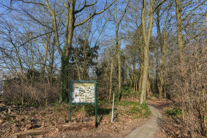 Foto 45 van Javastraat 84