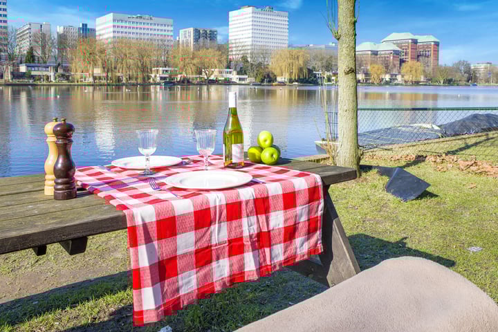Foto 5 van Westlandgracht 81-H
