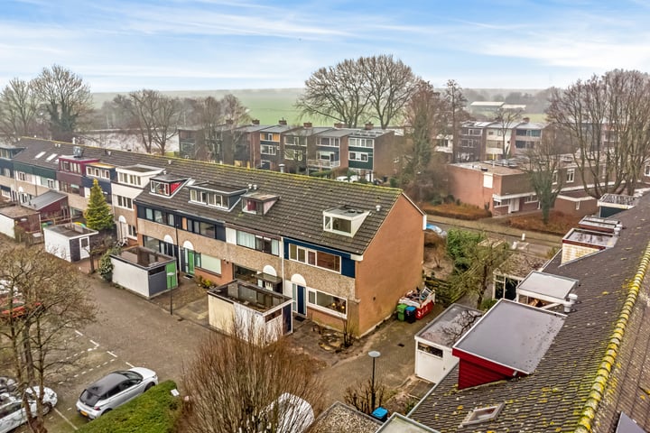 Foto 1 van Cameliadal 1