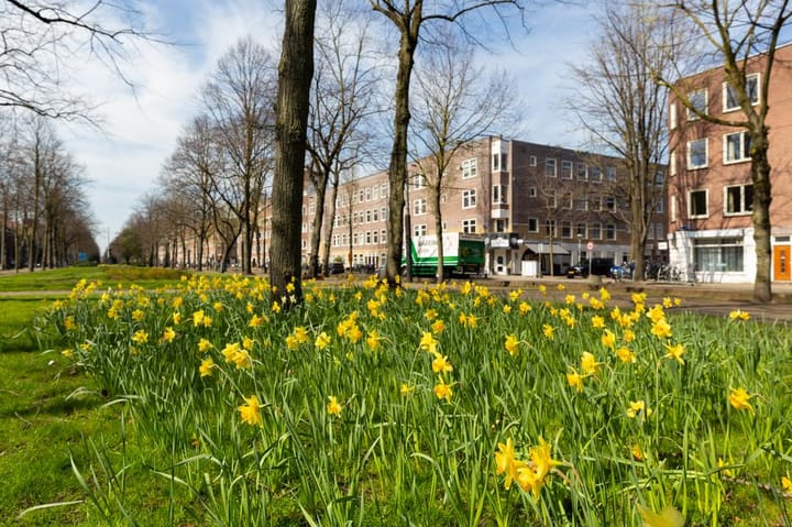 Foto 32 van Oude-IJselstraat 8-2