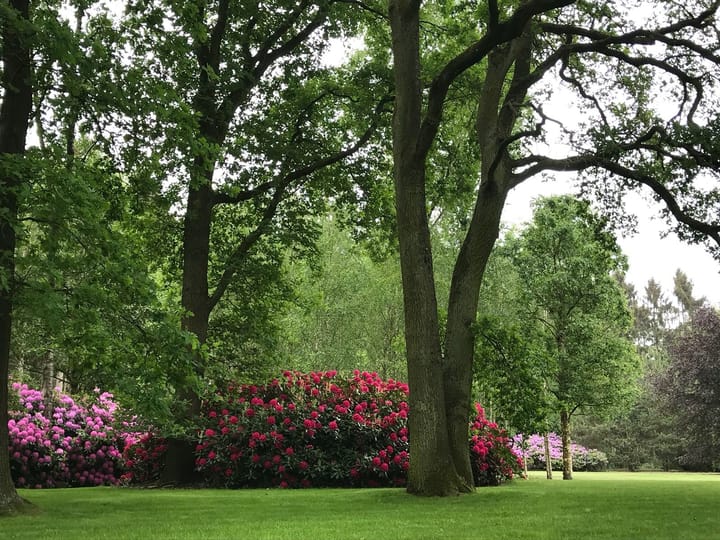 Foto 7 van Sijtjespad