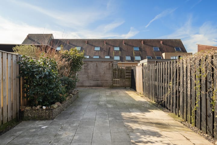 Foto 3 van Rietdekkerij 45