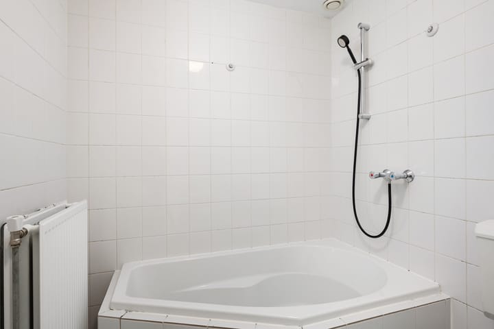 Foto 17 van Rietdekkerij 45